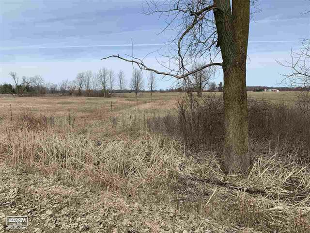 Property Photo: E Fremont MI 48454