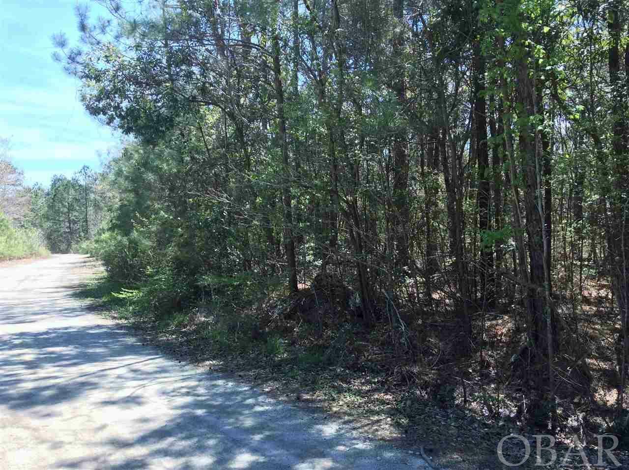 00 Summer Woods Road Lot # Tbd  Grandy NC 27939-9999 photo