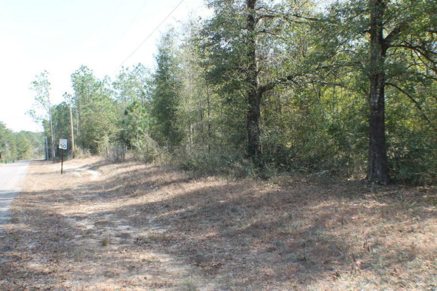 Property Photo:  3.11 Ac Audrey Drive  FL 32539 