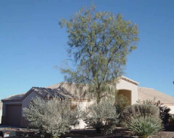 Property Photo:  411 W Rio Sinaloa  AZ 85614 