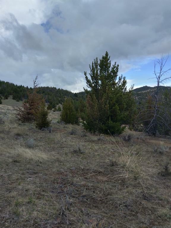 Property Photo:  Lt 2 English Gulch Minor  MT 59711 