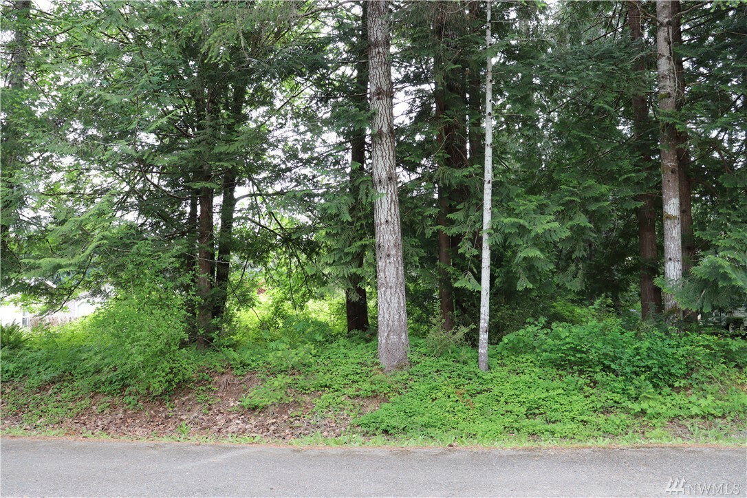Property Photo: 40 SE Barberry Ct WA 98584