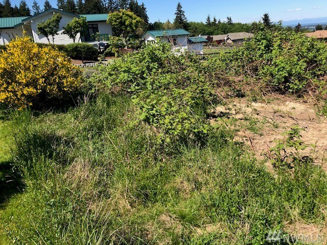 Property Photo: Lot 58 Hilltop Dr WA 98236