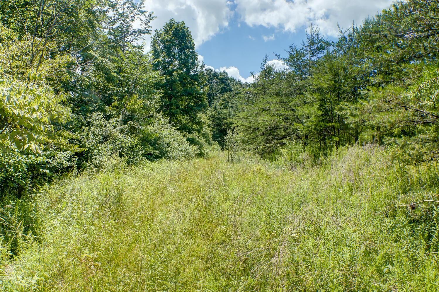 Property Photo:  Lot D Knox Road  OH 43138 