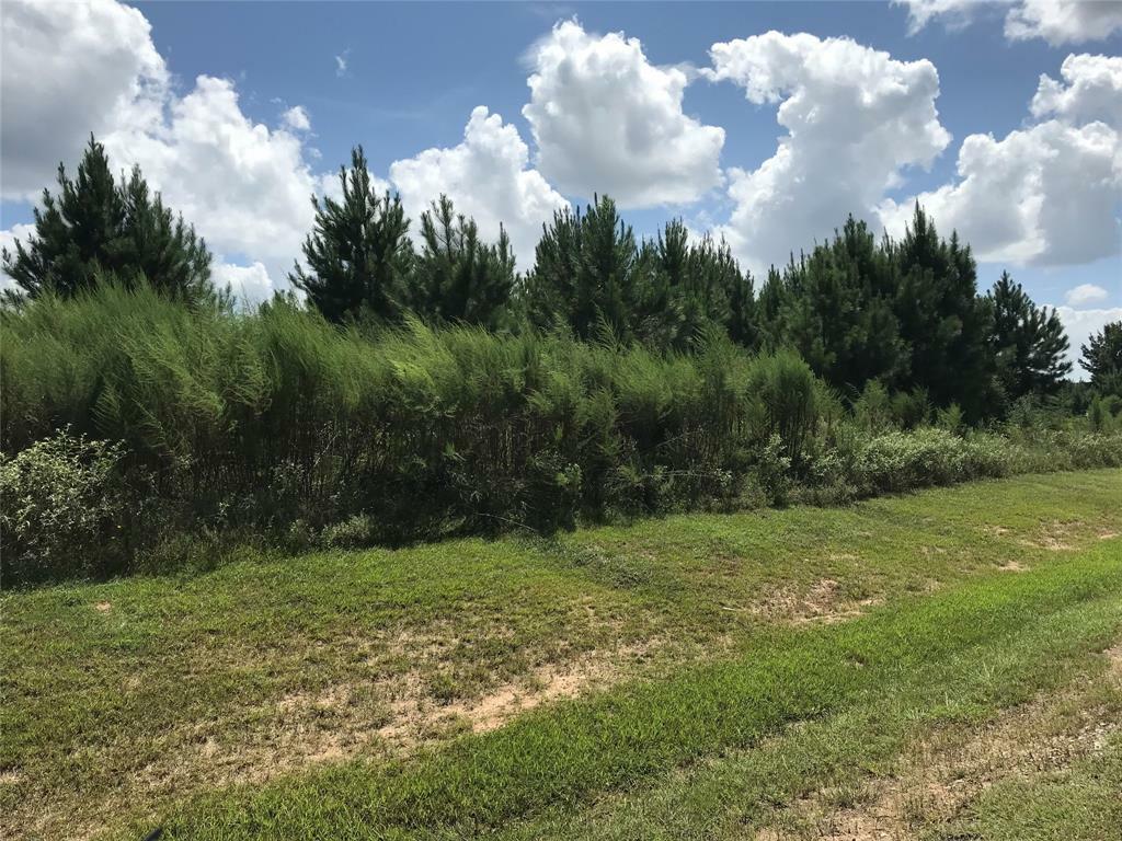Property Photo: 18553 Michaels Run TX 77356