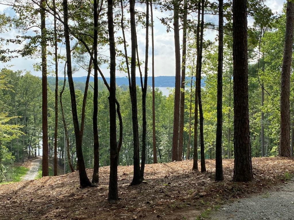 Property Photo:  0 Sue Craig Road Lot 7  SC 29682 