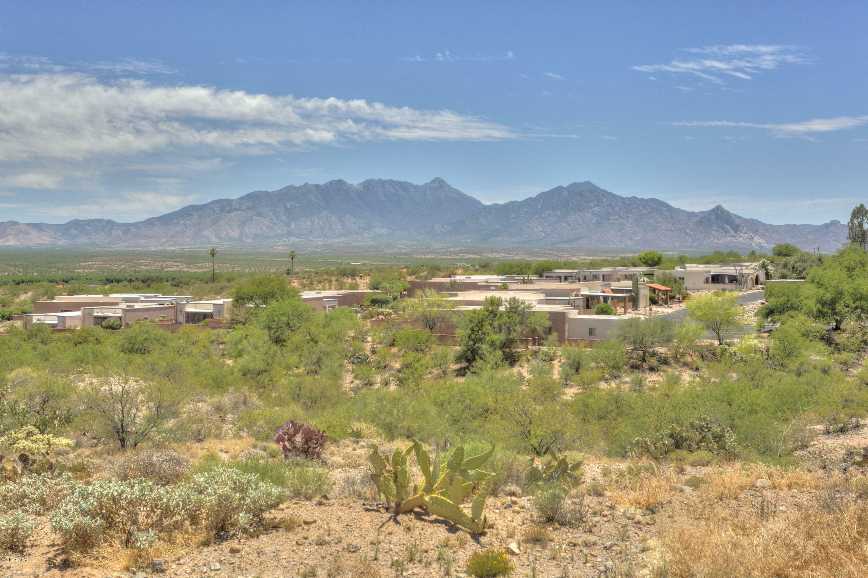 Property Photo:  2855 S Camino Pansa  AZ 85622 