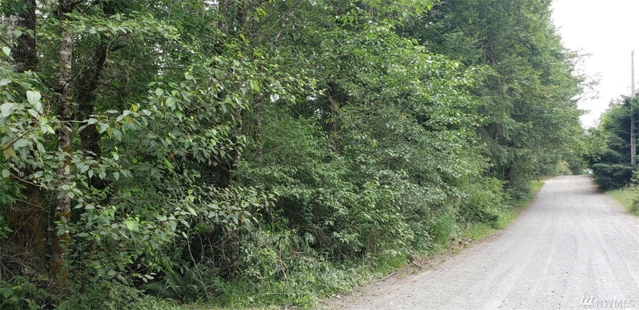 Property Photo: Xxx 301st St Ct S WA 98580