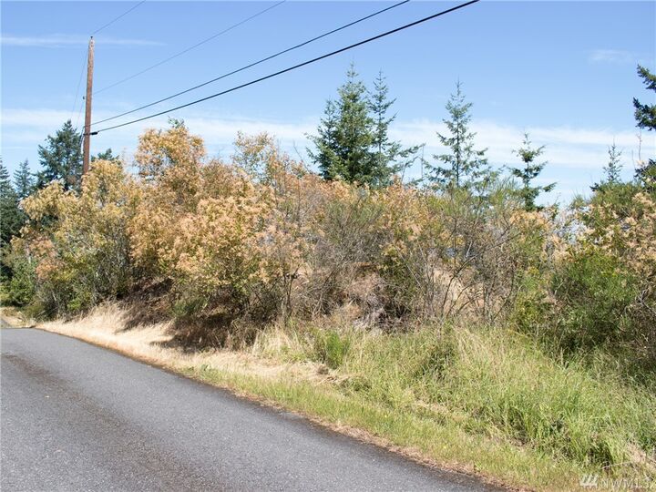 3070 Mt Vista Dr  Lummi Island WA 98262 photo