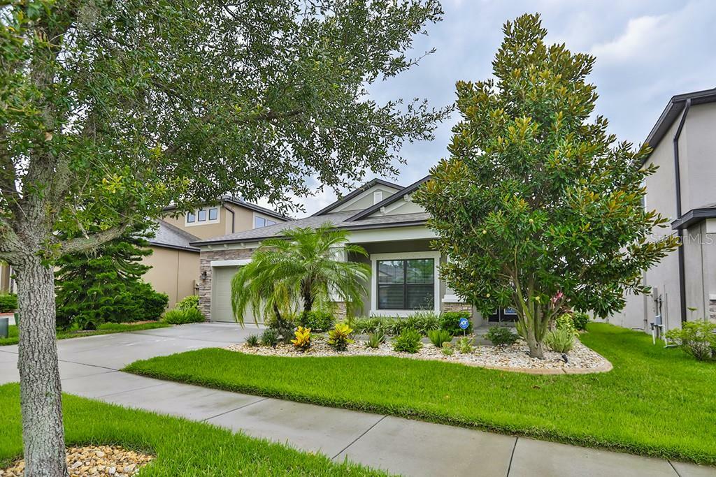 Property Photo:  11623 Palmetto Pine Street  FL 33569 