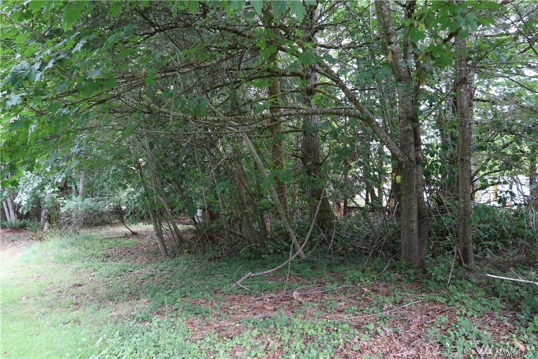 Property Photo: 30 SE Lupine Place WA 98584