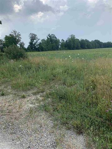 Property Photo: Imlay City Rd Vl East MI 48006