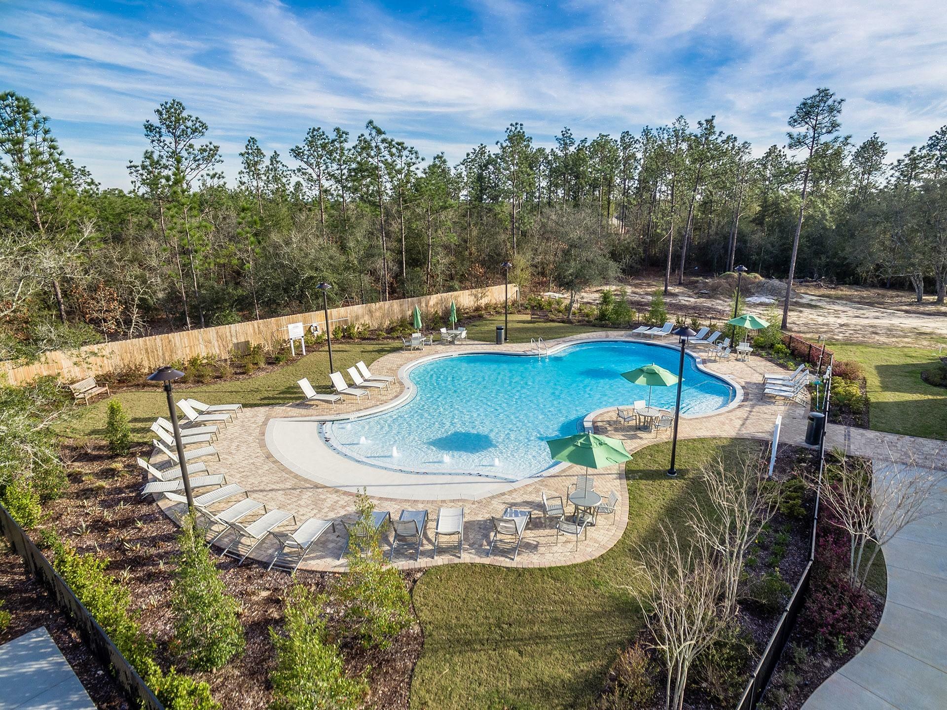 Property Photo:  933 Merganser Way  FL 32539 