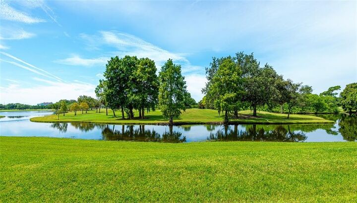 Property Photo: 2400 Feather Sound Drive 515 FL 33762