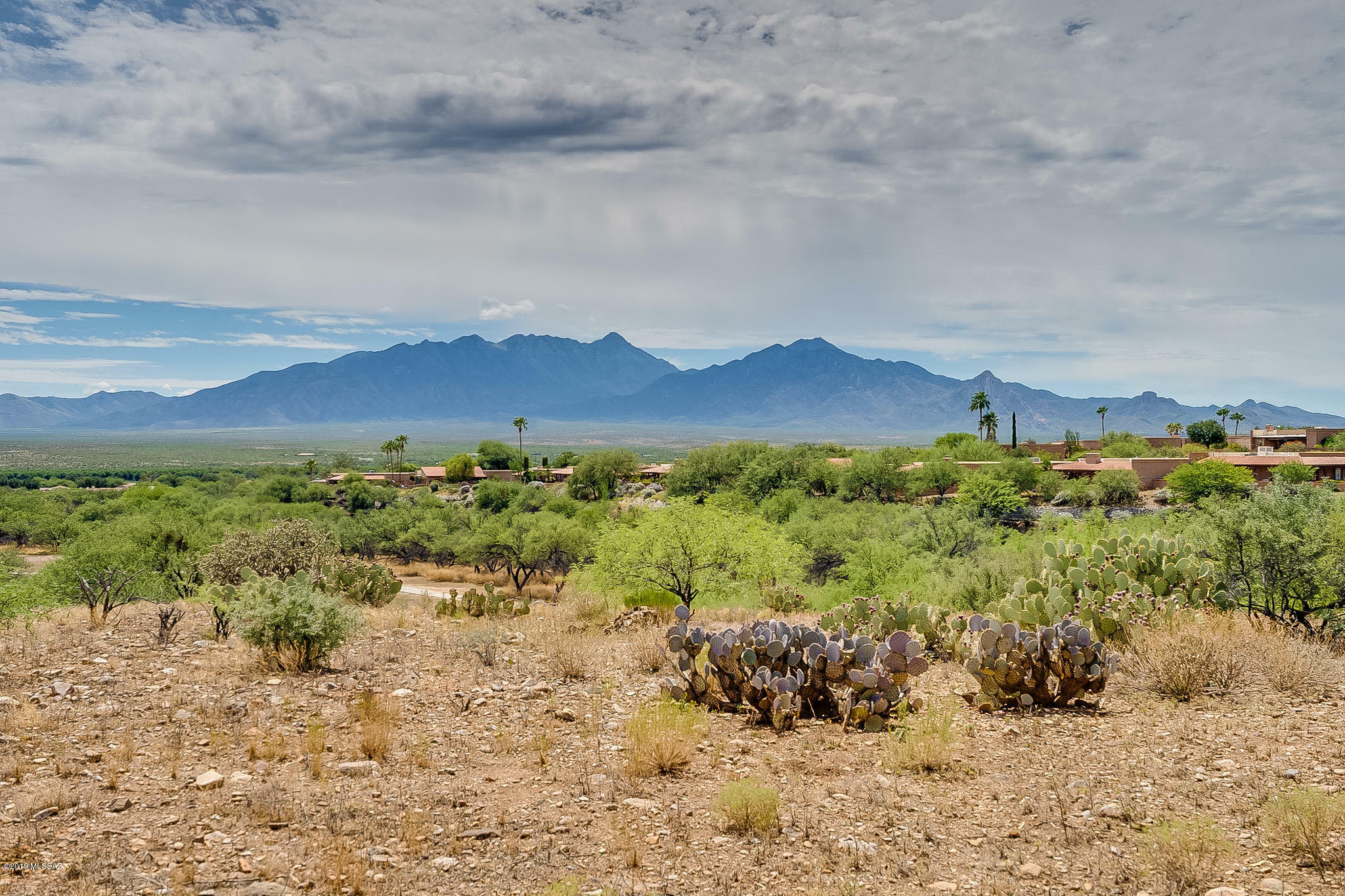 Property Photo:  3121 S Mountain View  AZ 85622 