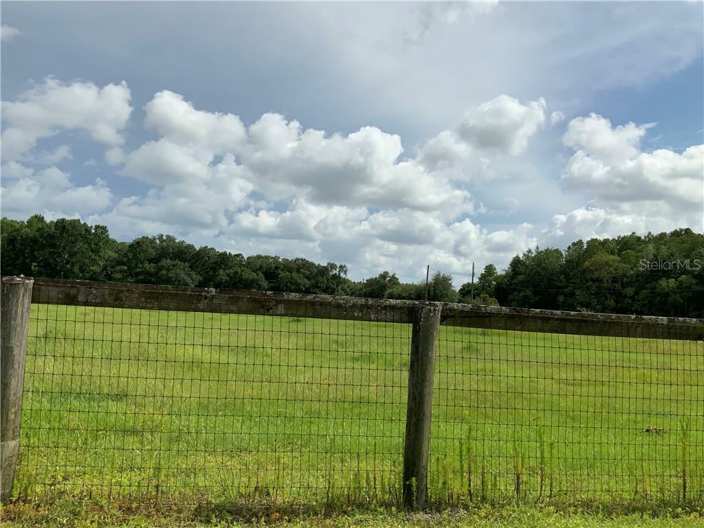 Property Photo:  1880118873 Brooker Creek Drive  FL 33556 