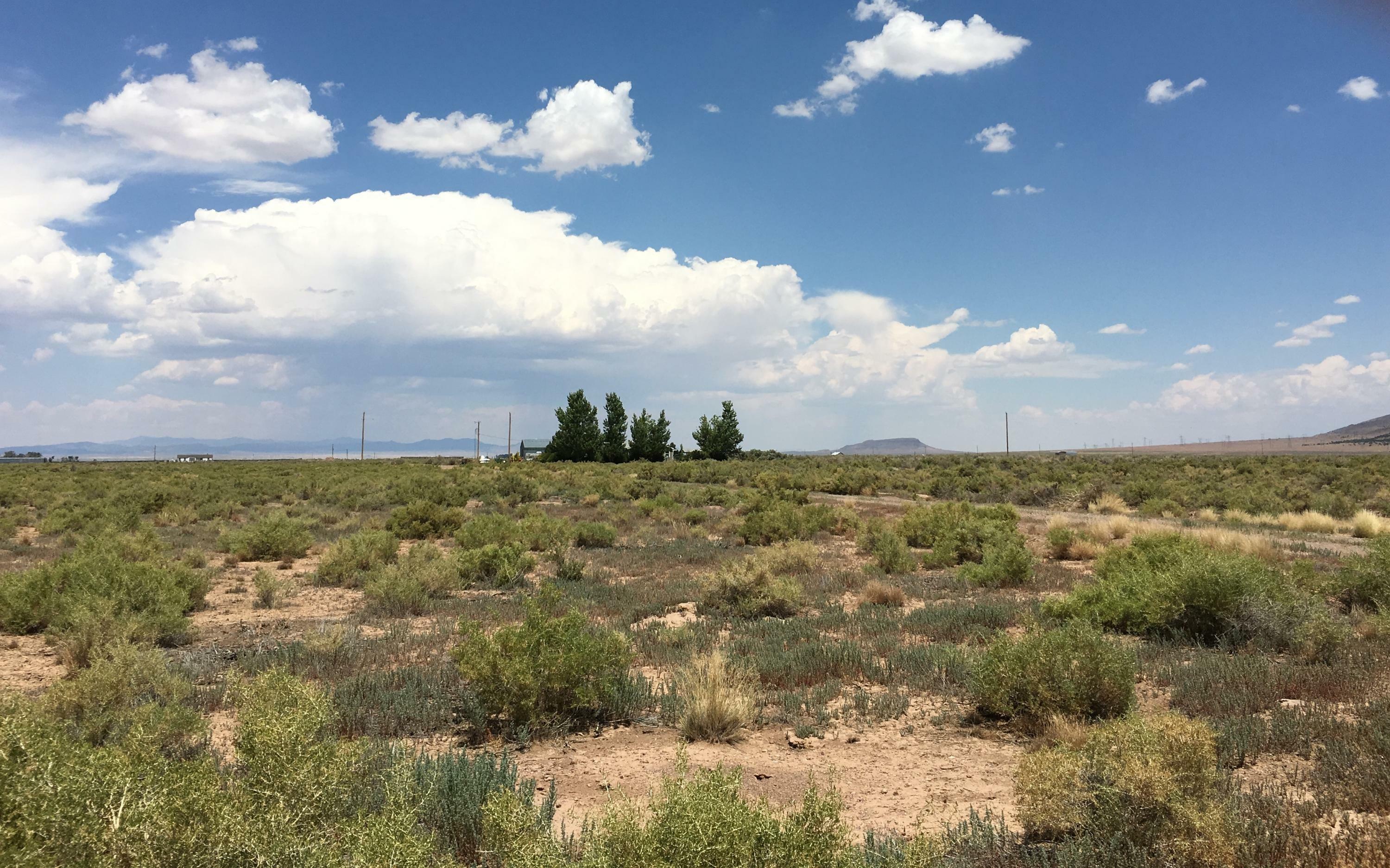 Property Photo:  5 Acres On 1015 E (Lot 6L)  UT 84756 