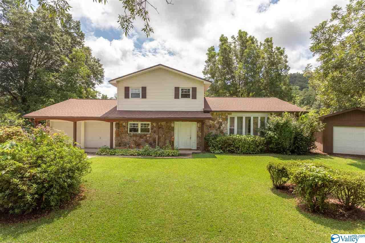 Property Photo:  258 Canoe Creek Road  AL 35906 