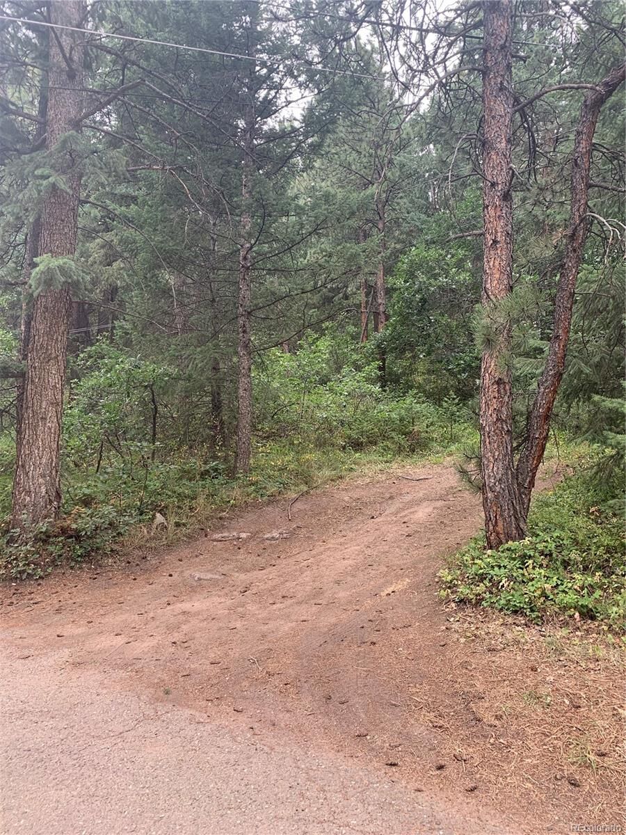 Property Photo: 0 Wynadotte Drive CO 80454