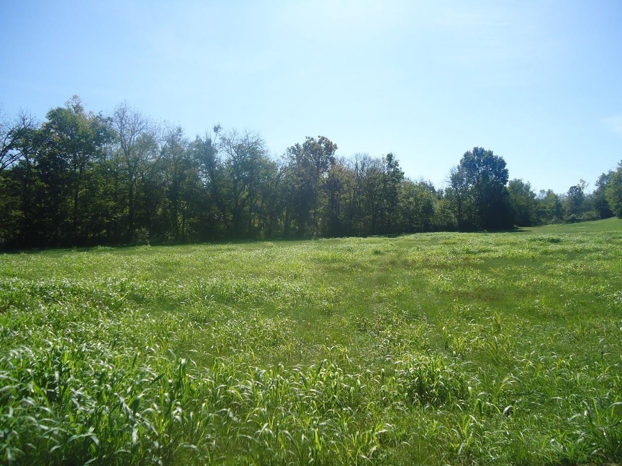 Property Photo:  1 Old Railroad Grade Road  KY 40444 