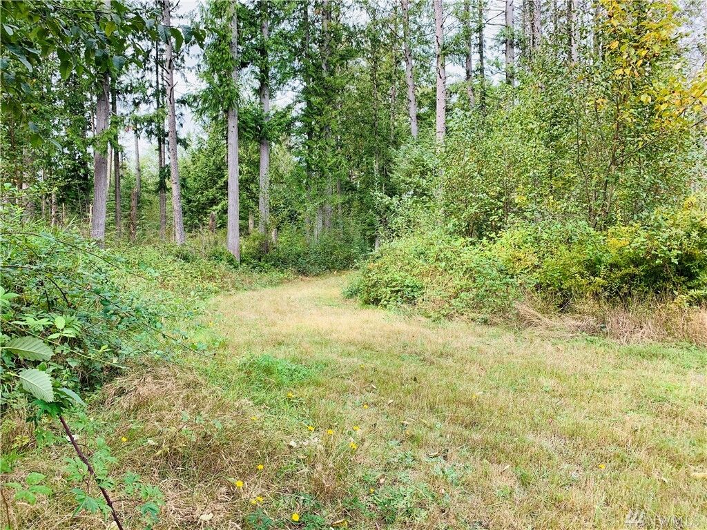 Property Photo:  Xx Hoogdal Rd  WA 98284 