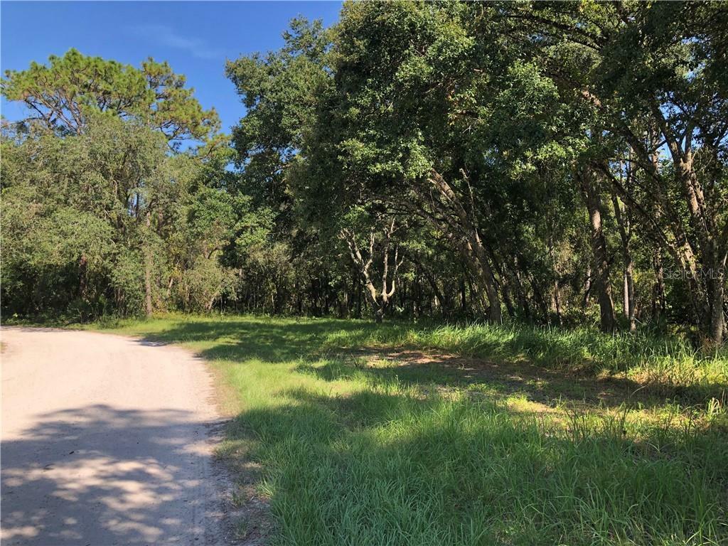 Property Photo:  SW Mills Creek  FL 32766 