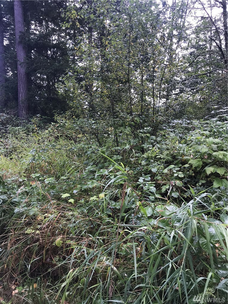 Property Photo: 38122 112th Ave E WA 98328