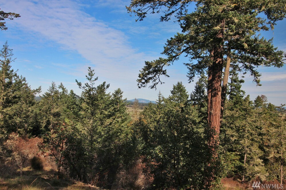 Property Photo:  642 Evergreen Lane  WA 98250 