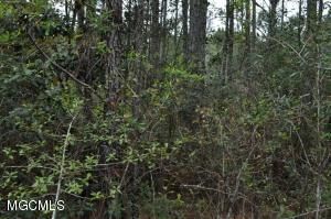 Property Photo:  00 Lower Bay Road  MS 39520 