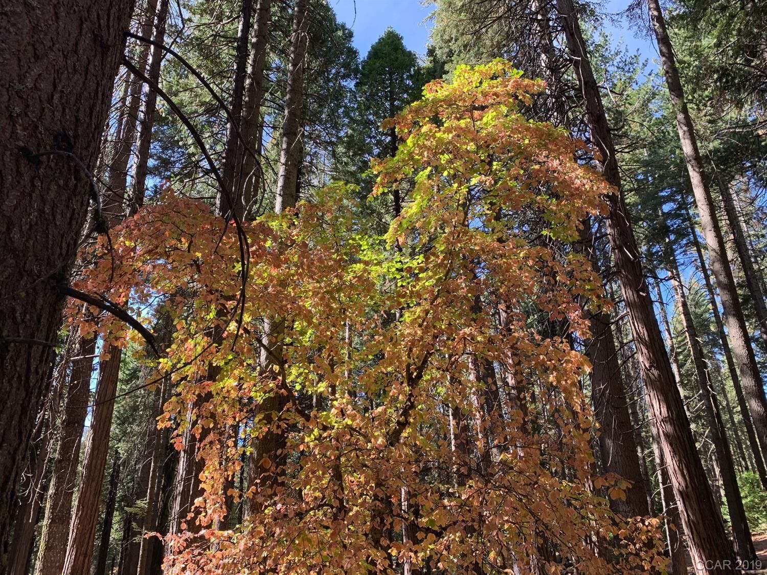 Property Photo: 2826 Shoshone Drive CA 95223