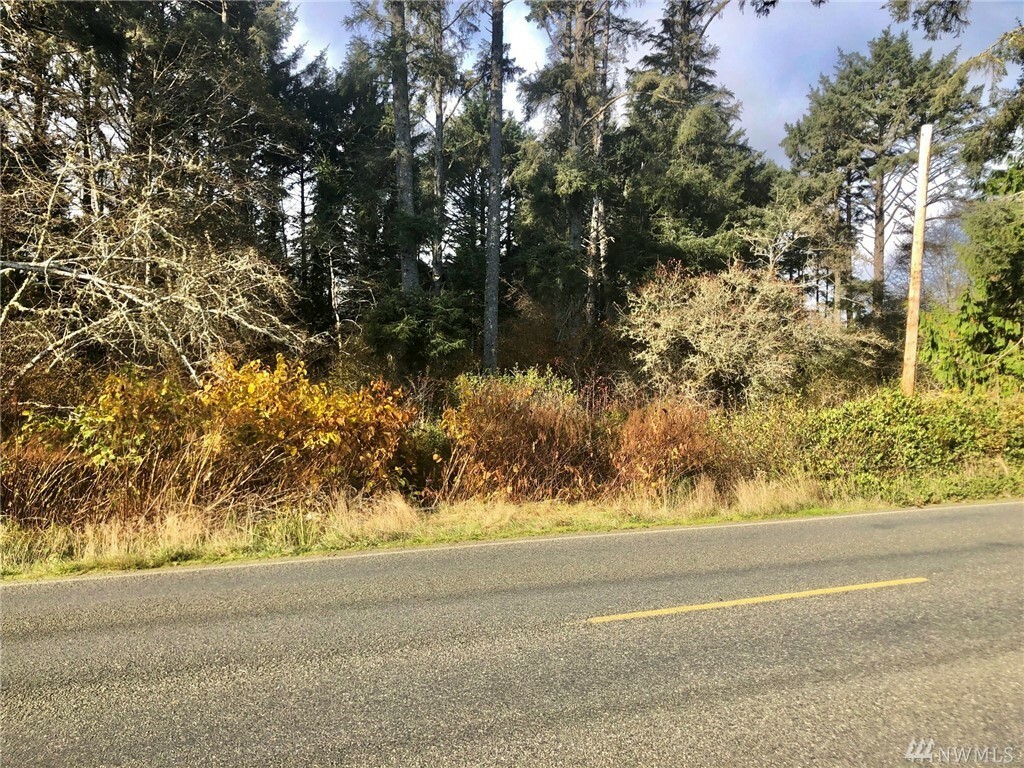 Property Photo:  2579 State Rt 109  WA 98569 