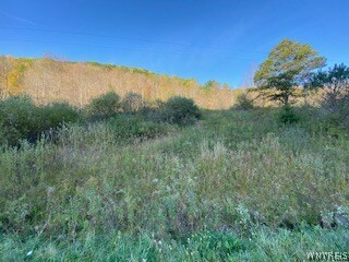 Property Photo:  Lot C Maples Road  NY 14731 