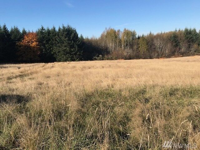 Property Photo: 400 Penning Rd WA 98532