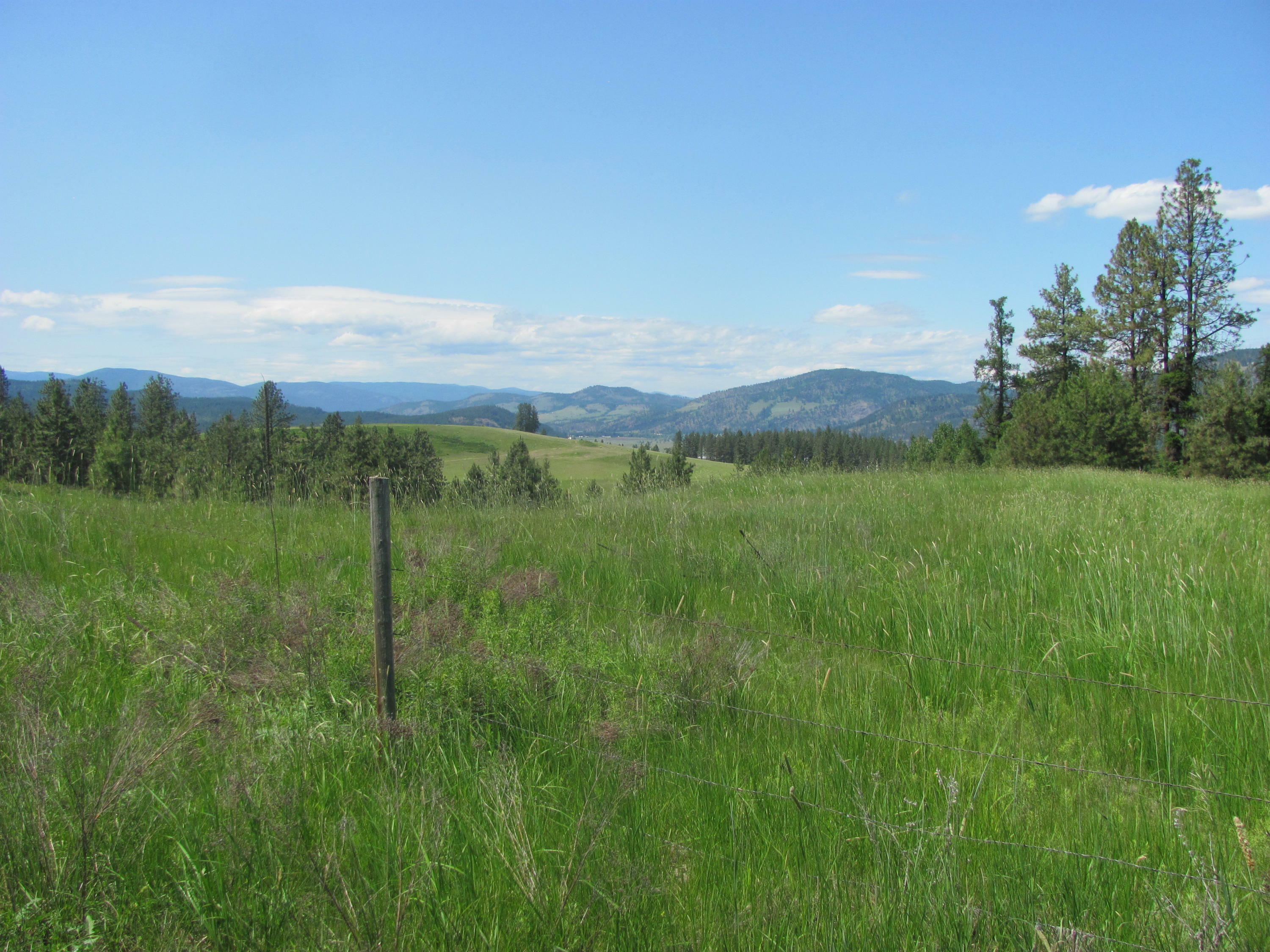 Property Photo:  Xxx Rocky Lake Rd  WA 99114 