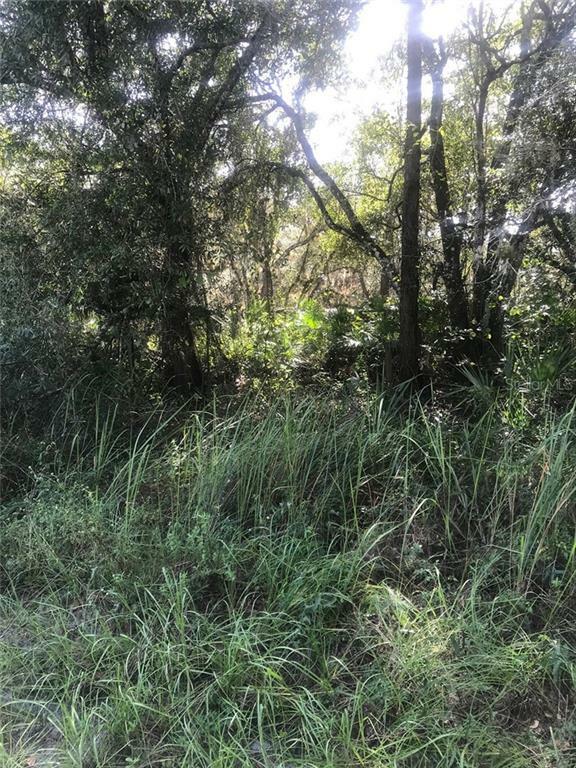 Property Photo:  2207 SW Golden Glade Avenue  FL 34266 