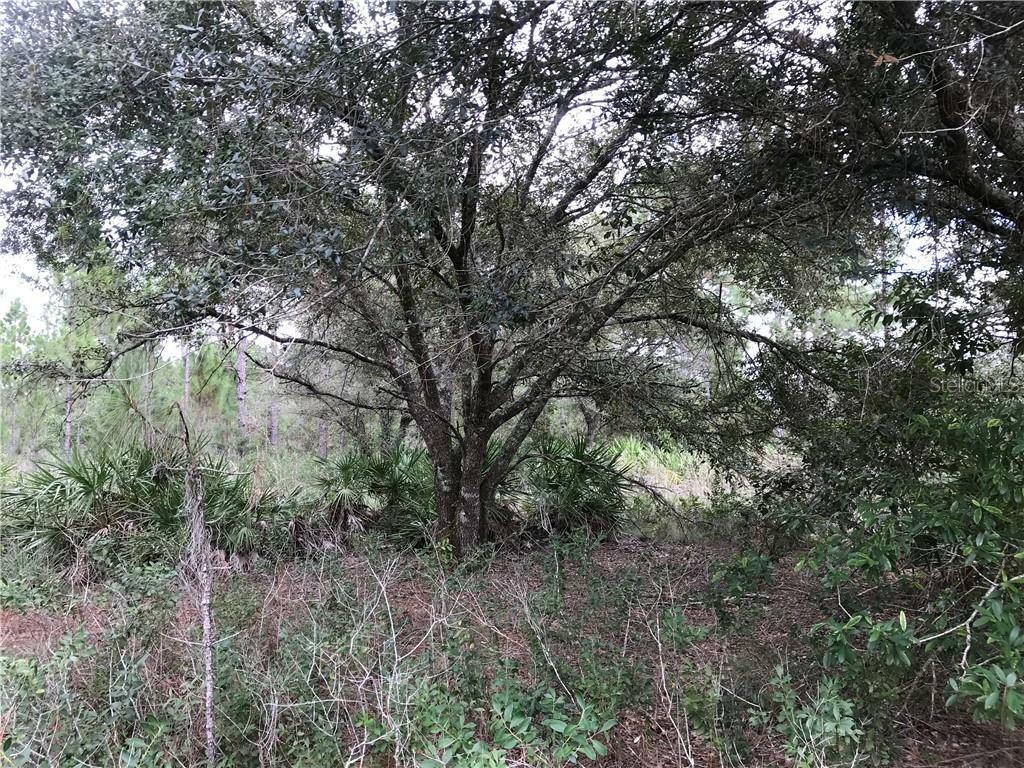 Property Photo:  Lot 233 Quarterly Parkway  FL 32833 