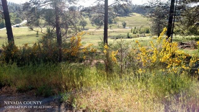 Property Photo: 13635 Anna Ridge Court CA 95959
