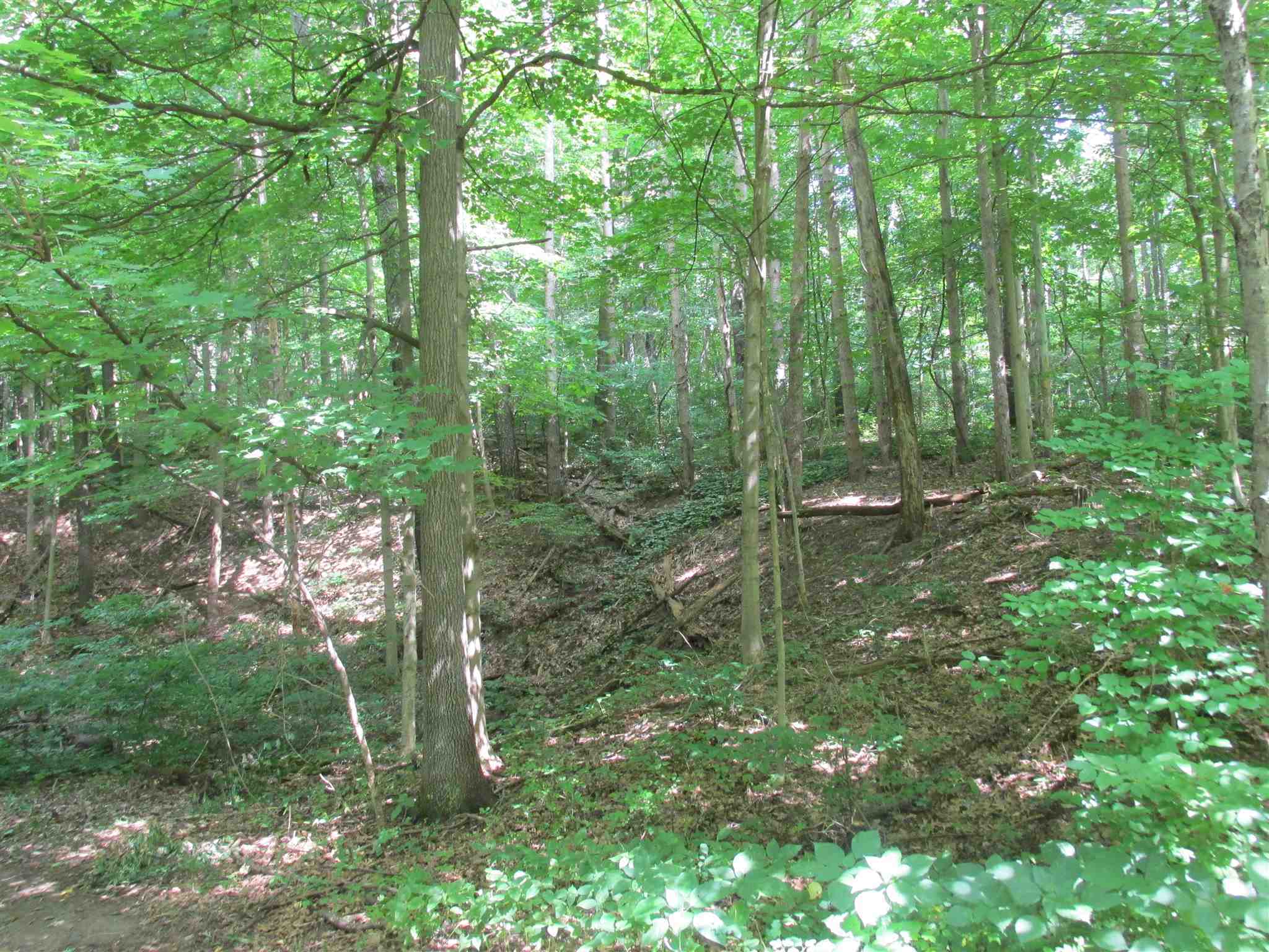 Property Photo: 0 Fail Road IN 46350