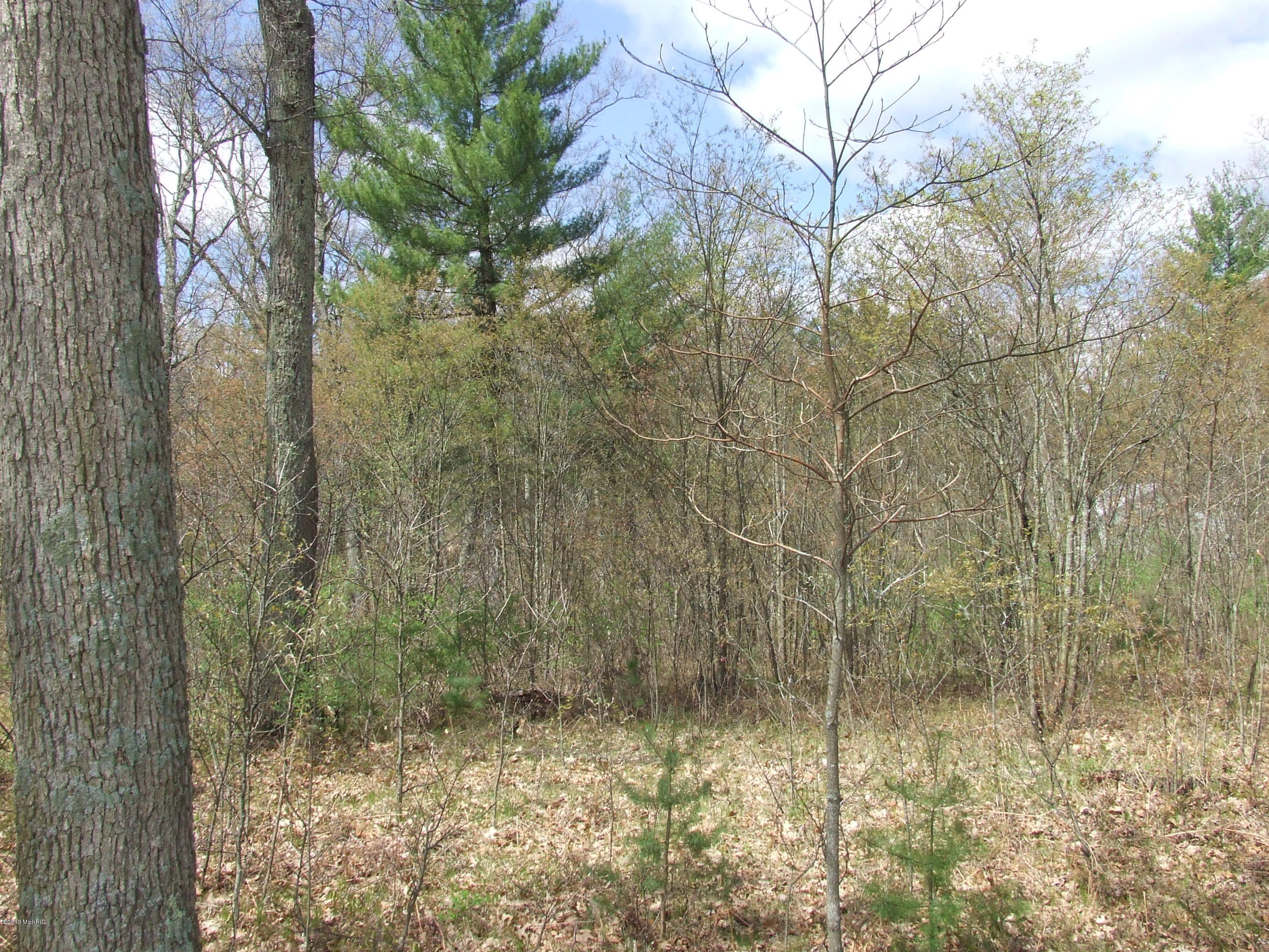 Property Photo: 0 Ewing Road MI 49457