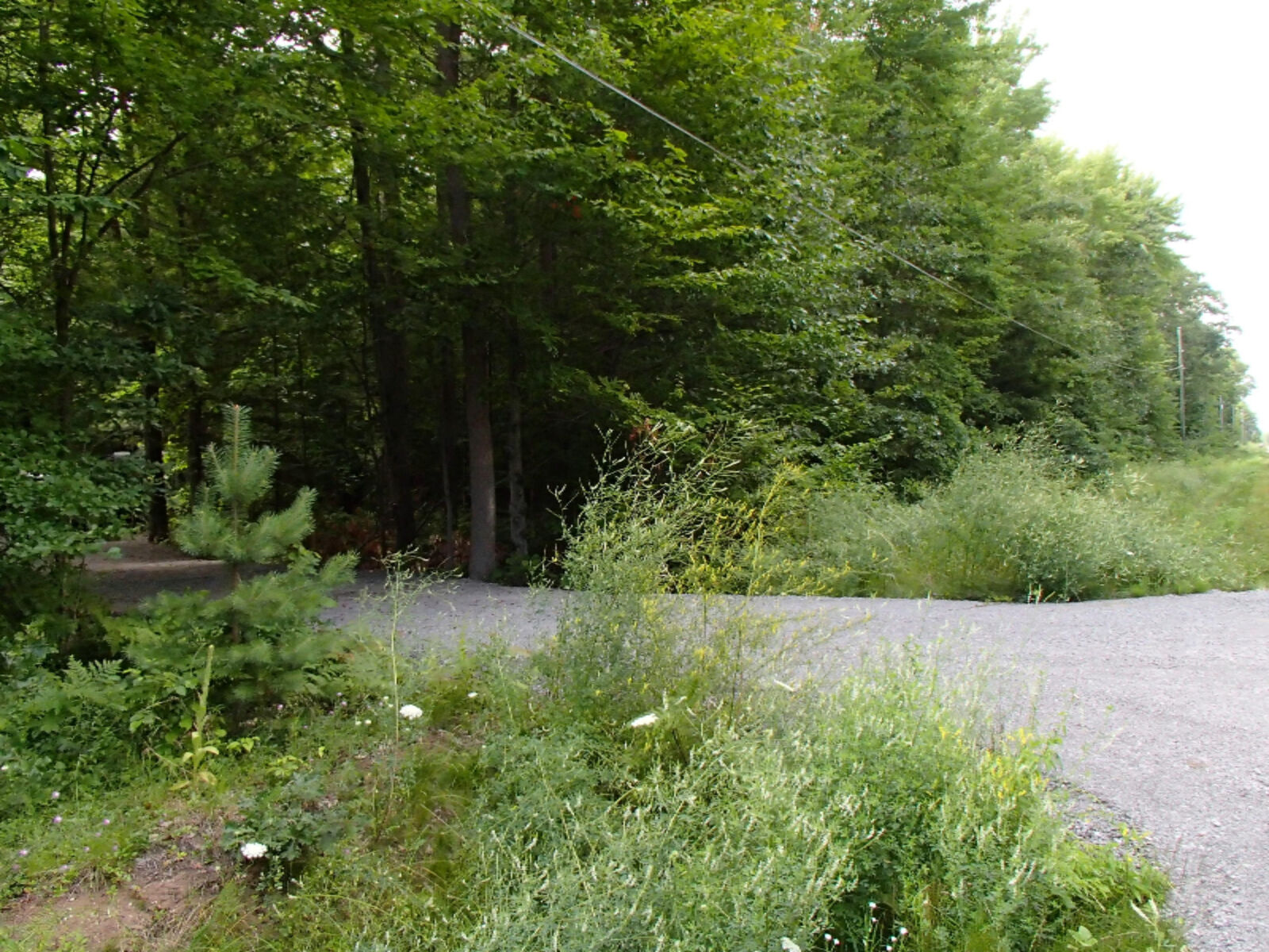 Property Photo:  5715 Zeller Road  MI 49461 