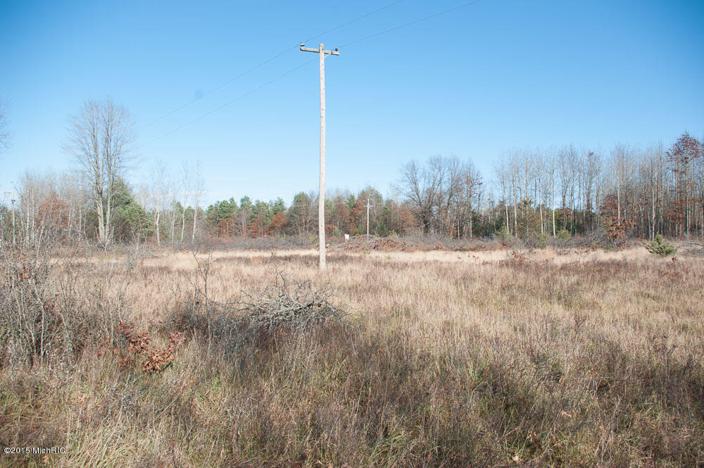 Property Photo: 0 N Jones Road MI 49329