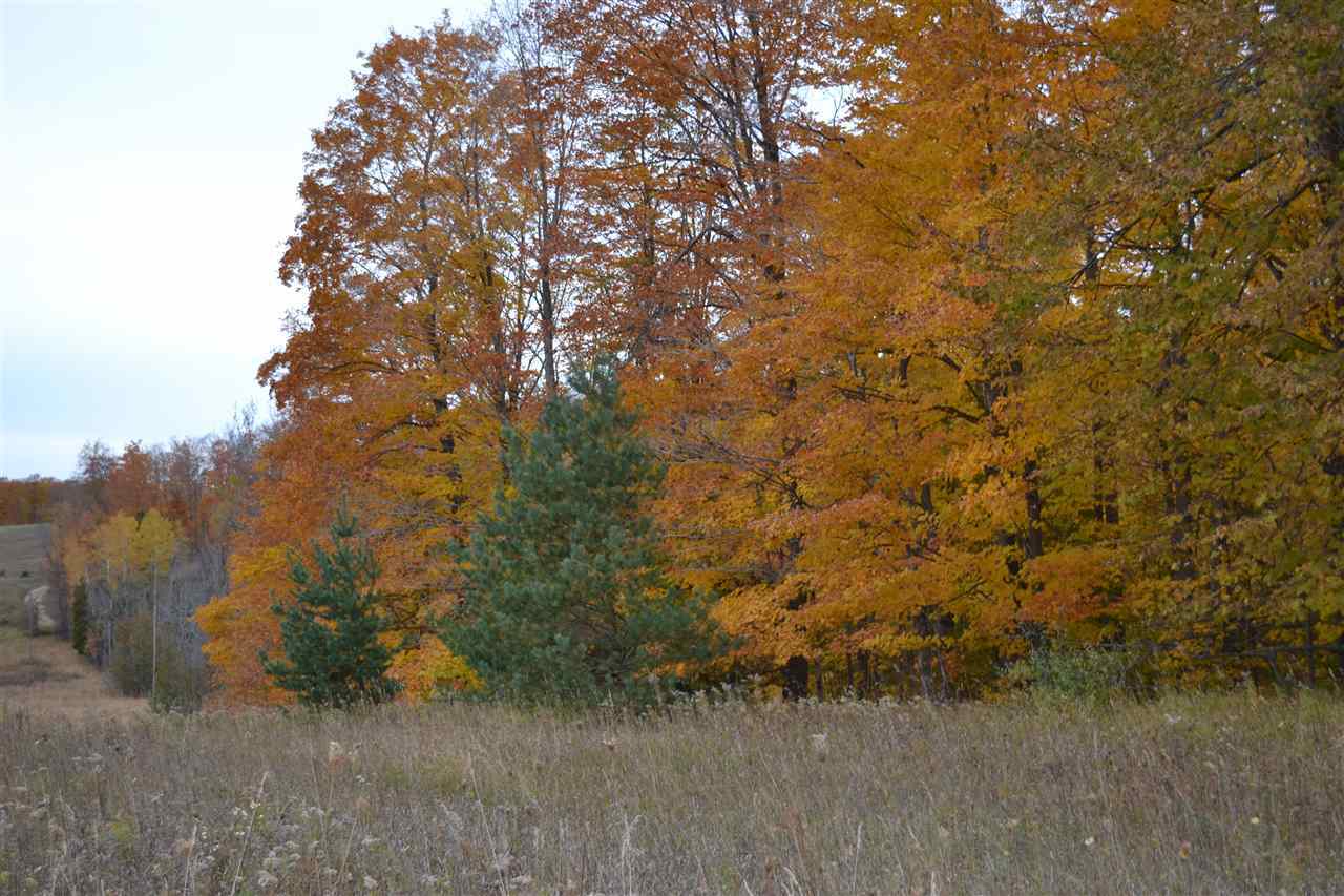 Property Photo: Parcel "G" Metz Road MI 49727