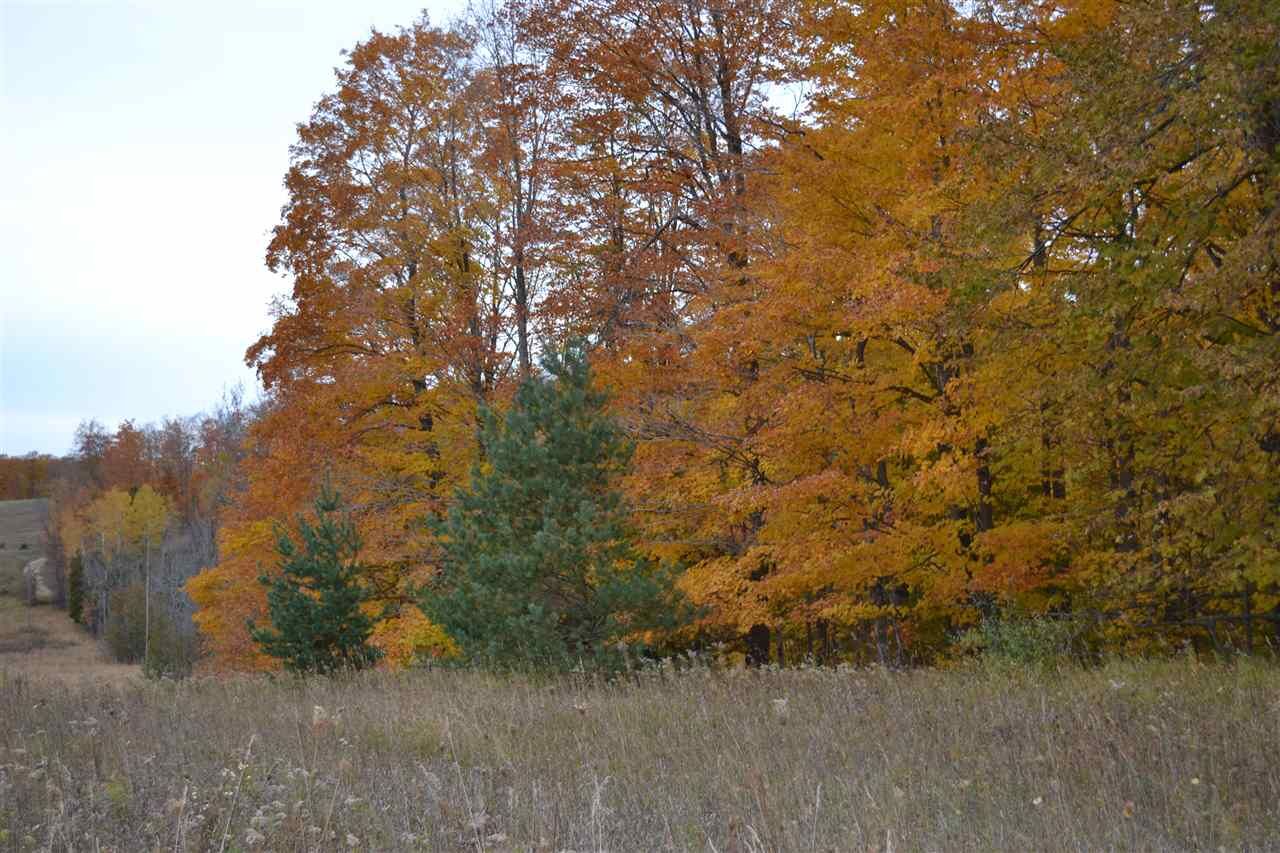 Property Photo: Parcel "G" Metz Road MI 49727