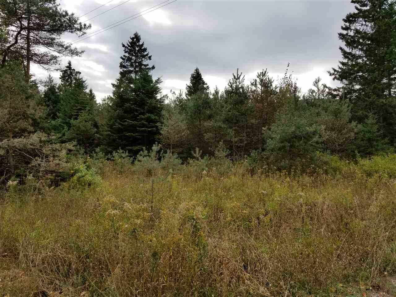 Property Photo:  6304 Emmet Heights  MI 49740 