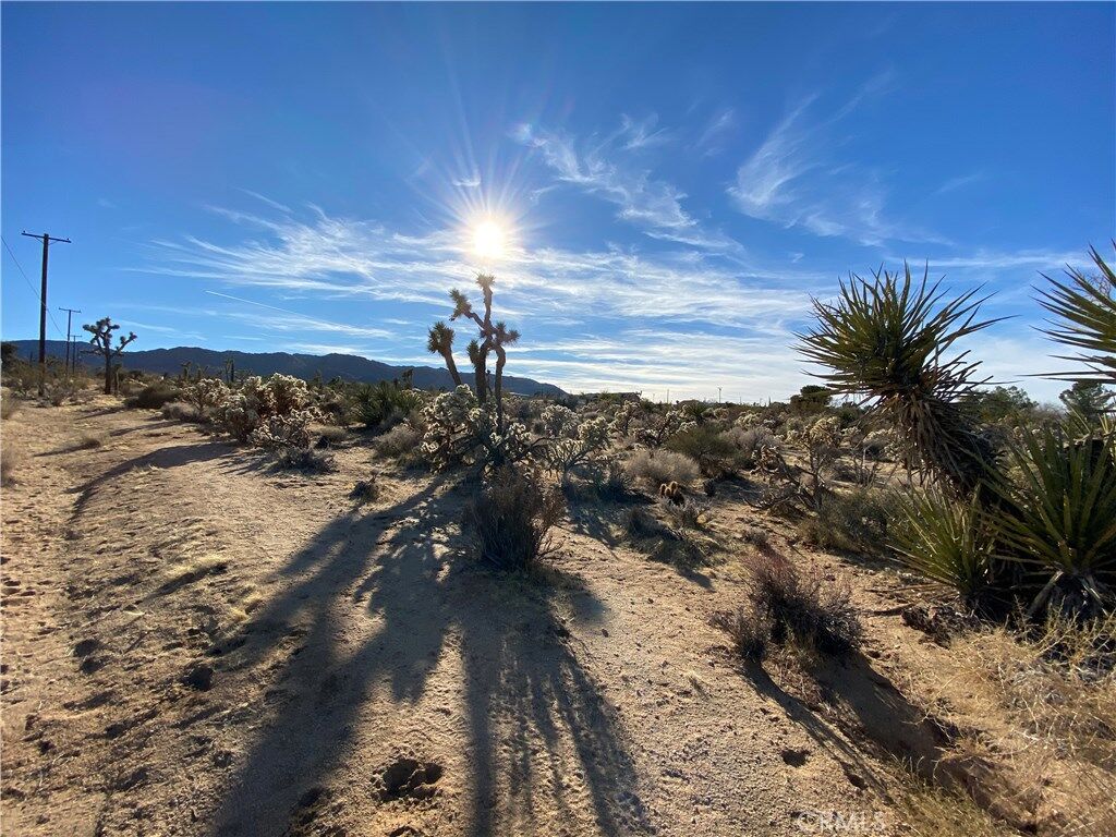 Property Photo:  6965 Sunnyhill Road  CA 92252 