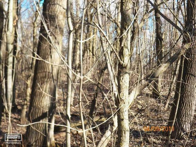 Property Photo: Hough Road MI 48002
