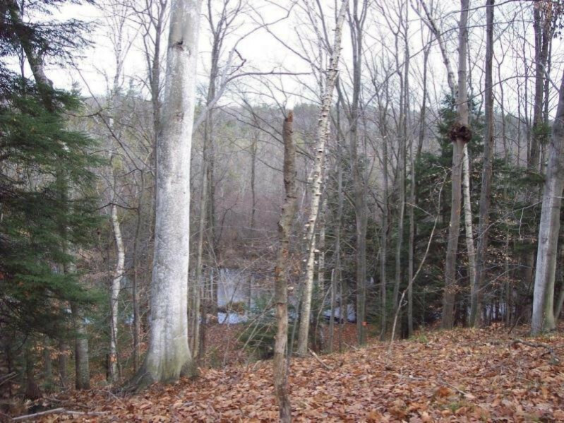 Property Photo:  0 Jefferson Road  MI 49449 