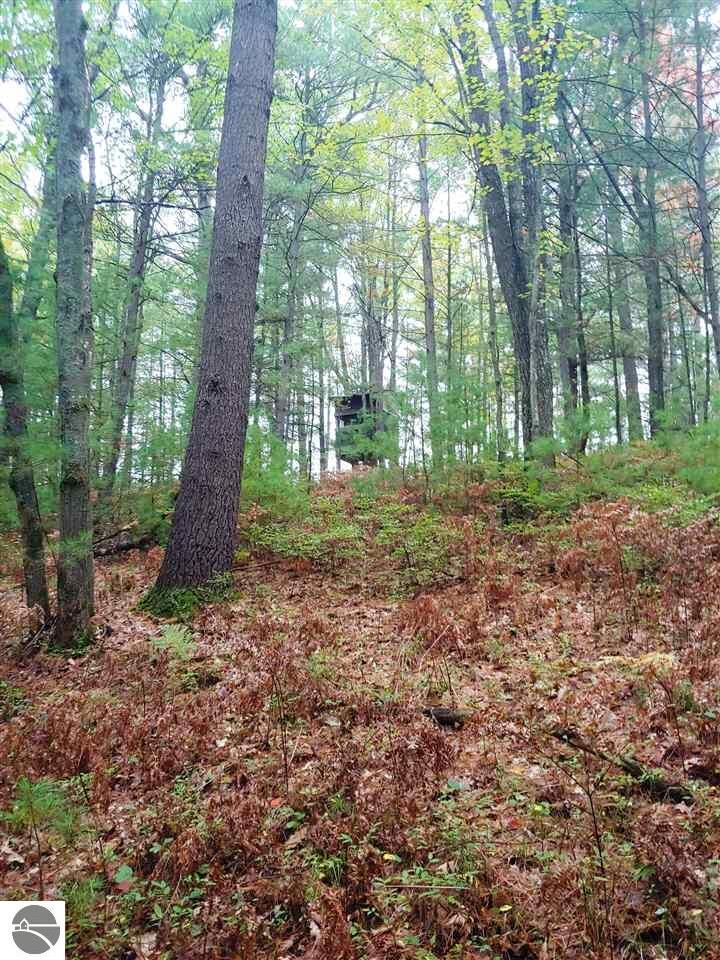 Property Photo:  00 S 47 3/4 Road  MI 49601 