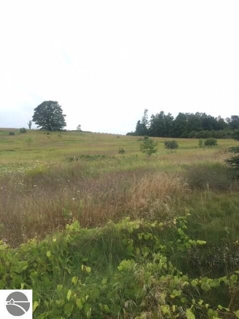 15361 Peninsula Drive  Traverse City MI 49686 photo