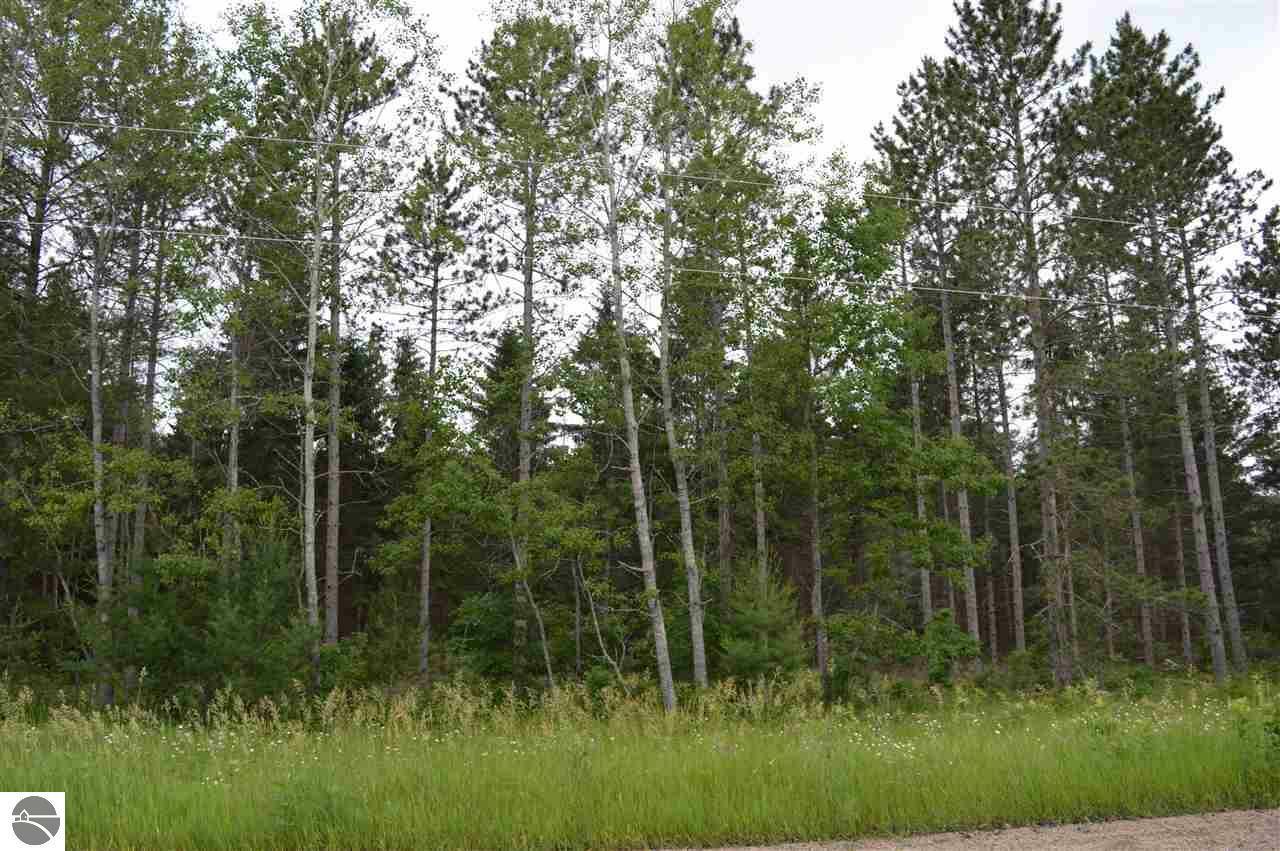 Twin Bridge Road  Lovells MI 49738 photo
